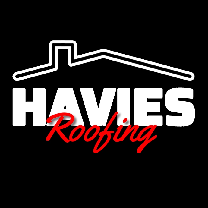 Roofing Logo template
