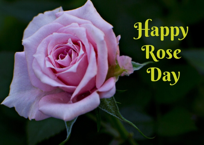 Plantilla de Día de La Rosa de | PosterMyWall