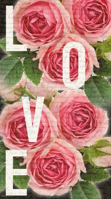 Roses Romantic Floral Instagram Quote Story Template | PosterMyWall