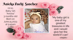 Pink Baby Announcement Digitale Vertoning Template