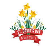 S.T David's Day Rectangle moyen template
