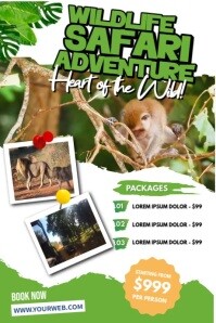 Safari Package Promo Poster template