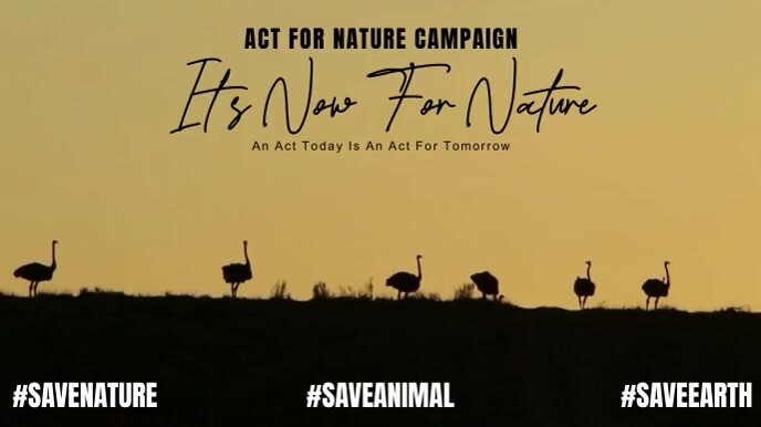save nature 数字显示屏 (16:9) template