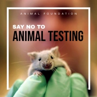 Say No to Animal Testing Instagram Post Template Instagram-Beitrag