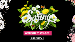 Sort Spring Sale Promotion Presentation Template