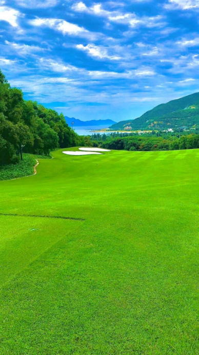 Scenic golf course view Instagram Story template