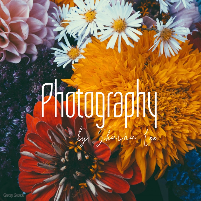 Script Photography Photo Logo Design Template | PosterMyWall