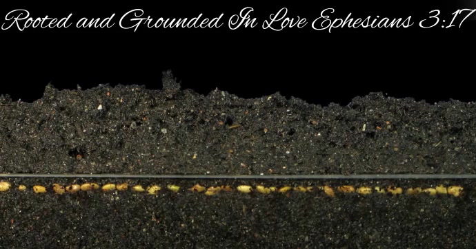 Scripture Facebook Shared Image template