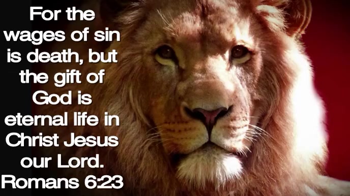 Scripture Digital Display Template | PosterMyWall