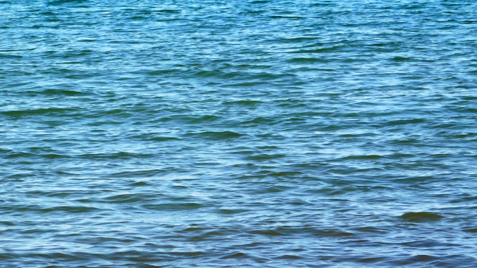 Sea Template | PosterMyWall