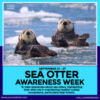 Sea Otter Awareness Week Ad Instagram Post template