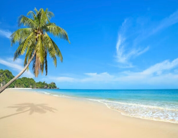 Sea Side view with palm tree Flyer (US Letter) template