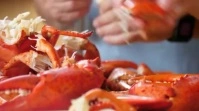 SEAFOOD 数字显示屏 (16:9) template