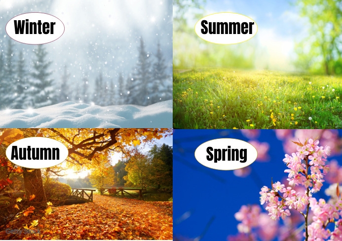 Season Format Seasons Of The Year A3 Template | PosterMyWall