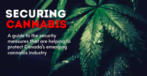 securing cannabis flyer Facebook Shared Image template