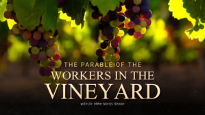 sermon topic design flyer vineyard Digitalt display (16:9) template