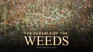 sermon topic design the parable of the weeds Digitalt display (16:9) template