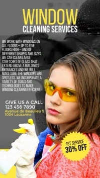 Service Flyers Window Cleaning Instagram Story template