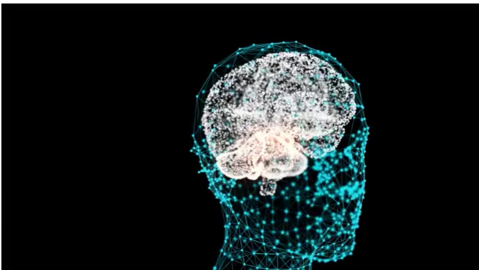 Copy of SETTINGS IN BRAIN | PosterMyWall