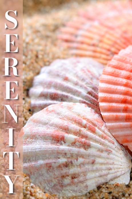 Shells Template | PosterMyWall