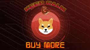 Shiba Inu Coin Meme Digital Display (16:9) template