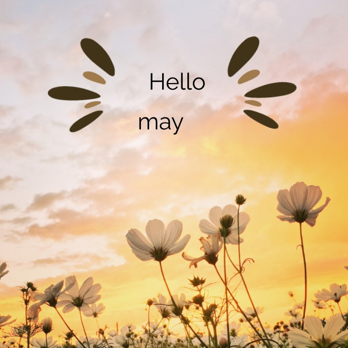 simple hello may Template | PosterMyWall