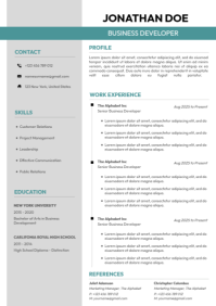 Simple Professional Resume A4 template