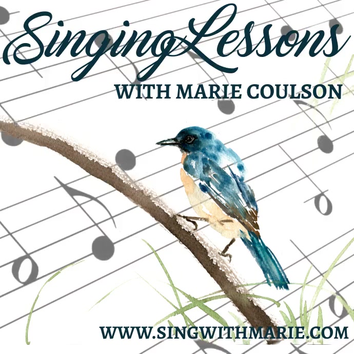 Voice Lessons Advertisement Singing Lessons Ad Video Animated Template | PosterMyWall