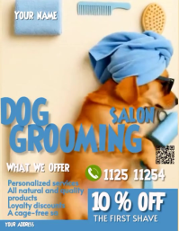 sky blue Professionale Pet Grooming Volantino (us Letter) template