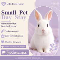 สีขาว Small Pet Day Stay Instagram-bericht Template