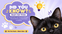 Roxo Cat Trivia Isithonjana se-YouTube Template