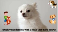 smiling pet Pantalla Digital (16:9) template