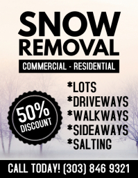 250 Snow Removal Customizable Design Templates Postermywall