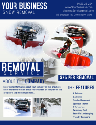 250 Snow Removal Customizable Design Templates Postermywall
