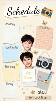 Soft School Organizer Instagram Story template