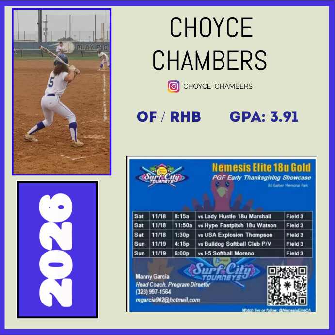 Softball Flyer โพสต์บน Instagram template