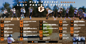 Softball Schedule Facebook Shared Image template