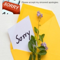 73+ Free Sorry Instagram Post Templates | PosterMyWall