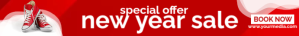 special offer new year sale leaderboard Førertavle template