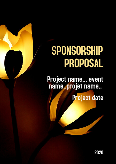 Graphical Sponsorship Proposal