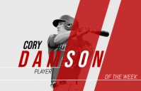 Sports poster design 小报 template