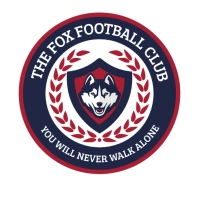 Sports Team Logo template