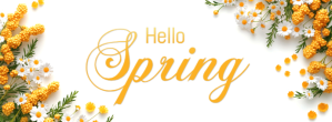 spring, event, business Facebook Cover Photo template
