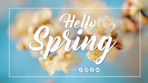 Blue Spring Sale Digitalt display Template