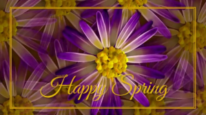 spring, event,spring card Facebook Cover Video (16:9) template