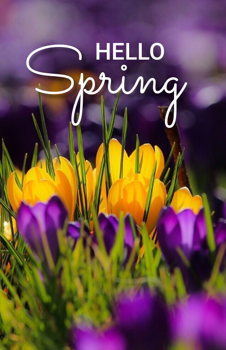 Hello Spring Fest Copy of Spring, hello spring | PosterMyWall