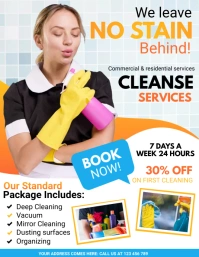 spring, spring cleaning service Ulotka (US Letter) template