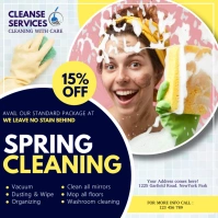 spring, spring cleaning service Instagram na Post template