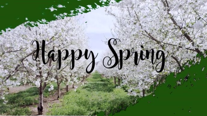 spring, event,spring card 数字显示屏 (16:9) template