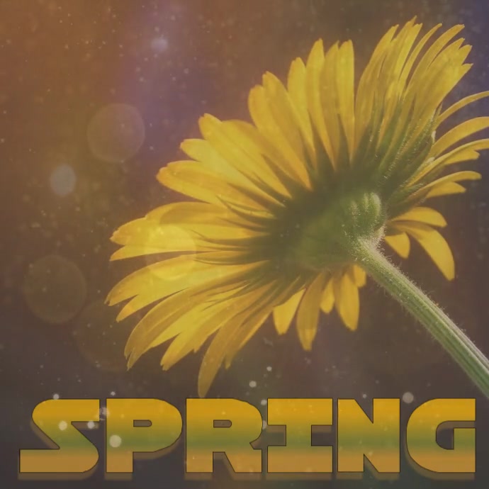 Plantilla de Spring 2020 Instagram Video | PosterMyWall